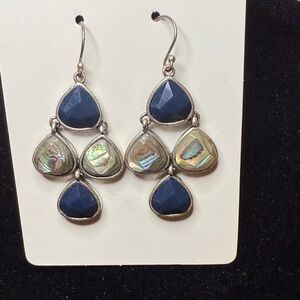 Chic Silver and Blue Teardrop Earrings
